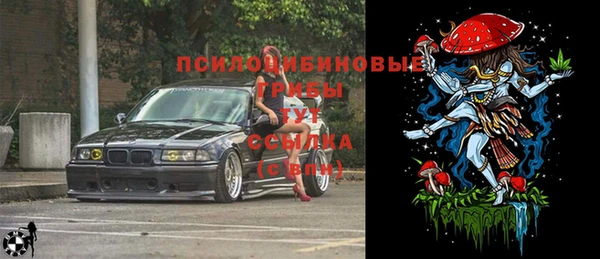 марки lsd Белокуриха