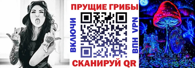 omg вход  сайты даркнета клад  Галлюциногенные грибы Magic Shrooms  Окуловка 